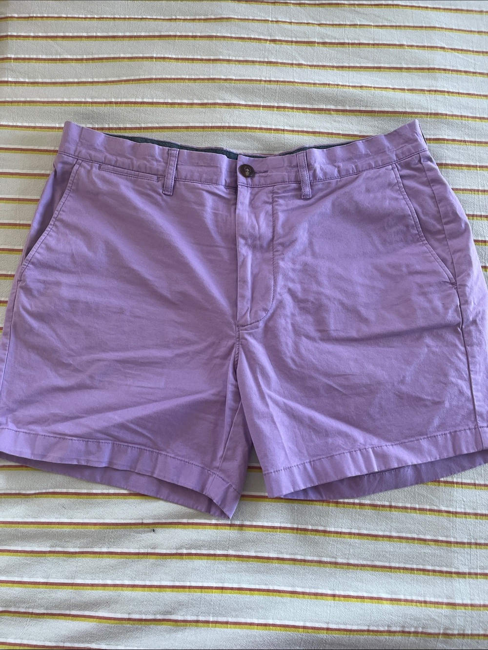 J. Crew Lavender Flat Front Men’s Shorts